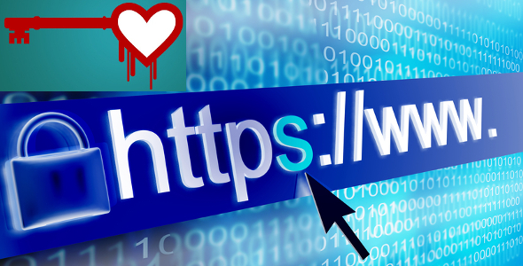 Eroarea Heartbleed: Tot ce trebuie sa stii daca ai fost afectat !